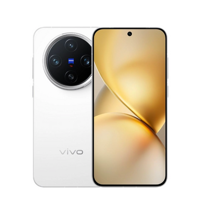 Vivo X200 Pro Mini